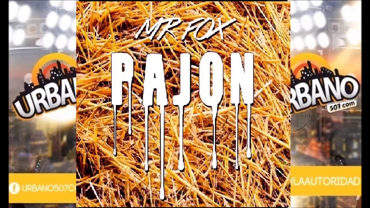 MR FOX – Un Pajon